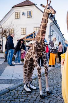 Kamniški karneval – praznik za otroke in družine (23)